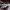 2025 03 01 Moffat Nichol 13