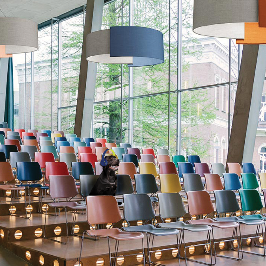 News Lighting Associates Inc.